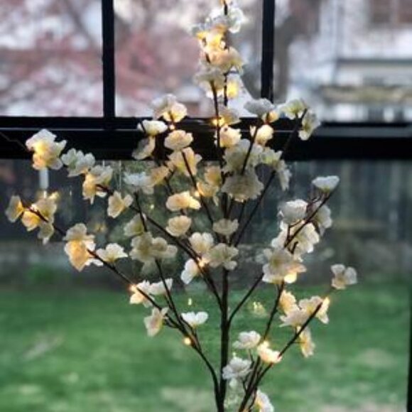 Bethlehem Lights Illuminated Decorative Branches Ivory Blossom Spring - Set of 2 - Picture 6 of 10